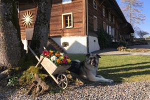 Frühling.jpg