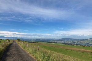 IMG_9534.jpeg