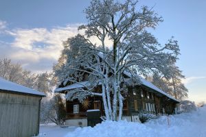 BnB Bettwil Winter_21.jpeg