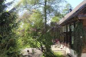 Aussicht-in-Garten.jpg