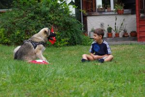 IMGP4223.JPG